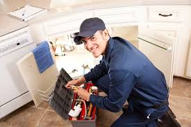 Best Residential Plumbing Services  in Pelzer, SC